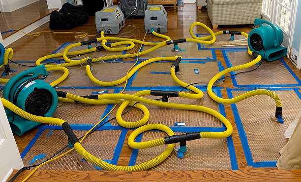 Professional Water Damage Repair technician working in Saint Leo, FL
